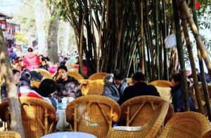 tea culture and leisure in Chengdu_07